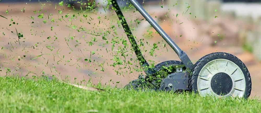 Lawn Care Services image