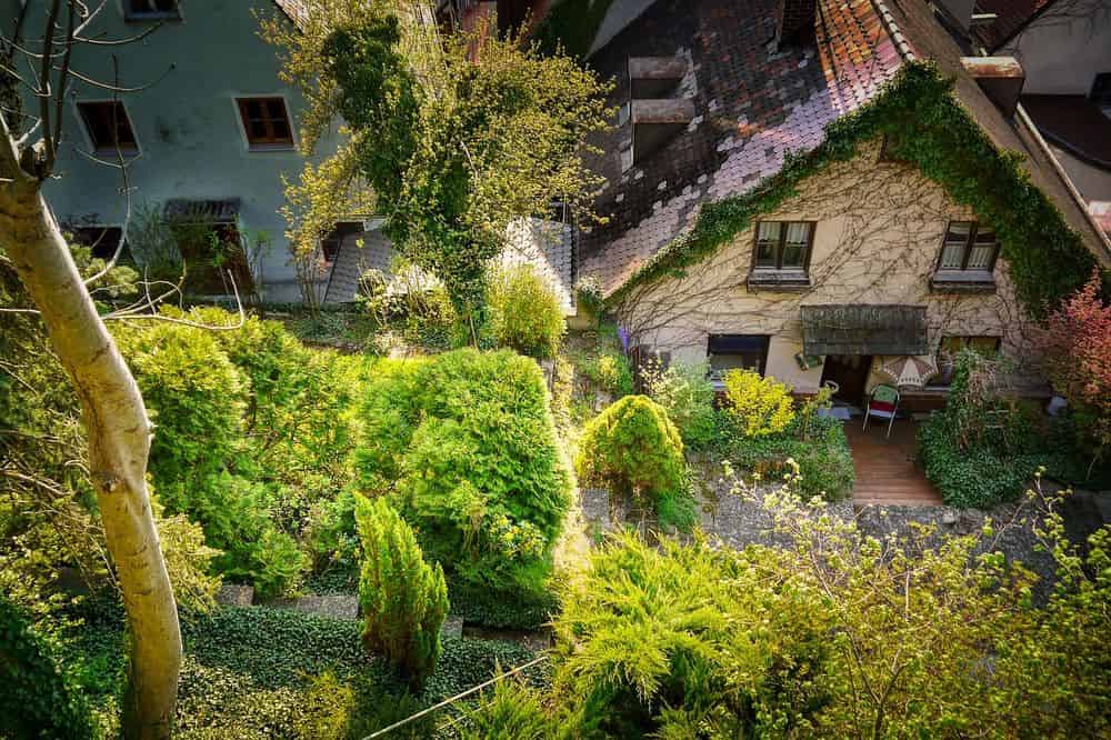 Landscape Installations and Maintenance image