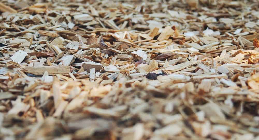Mulch & Sod image