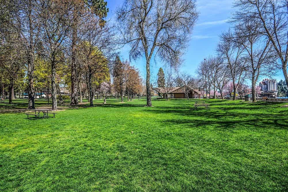 Hero image for CMT Lawn and Landscape LLC