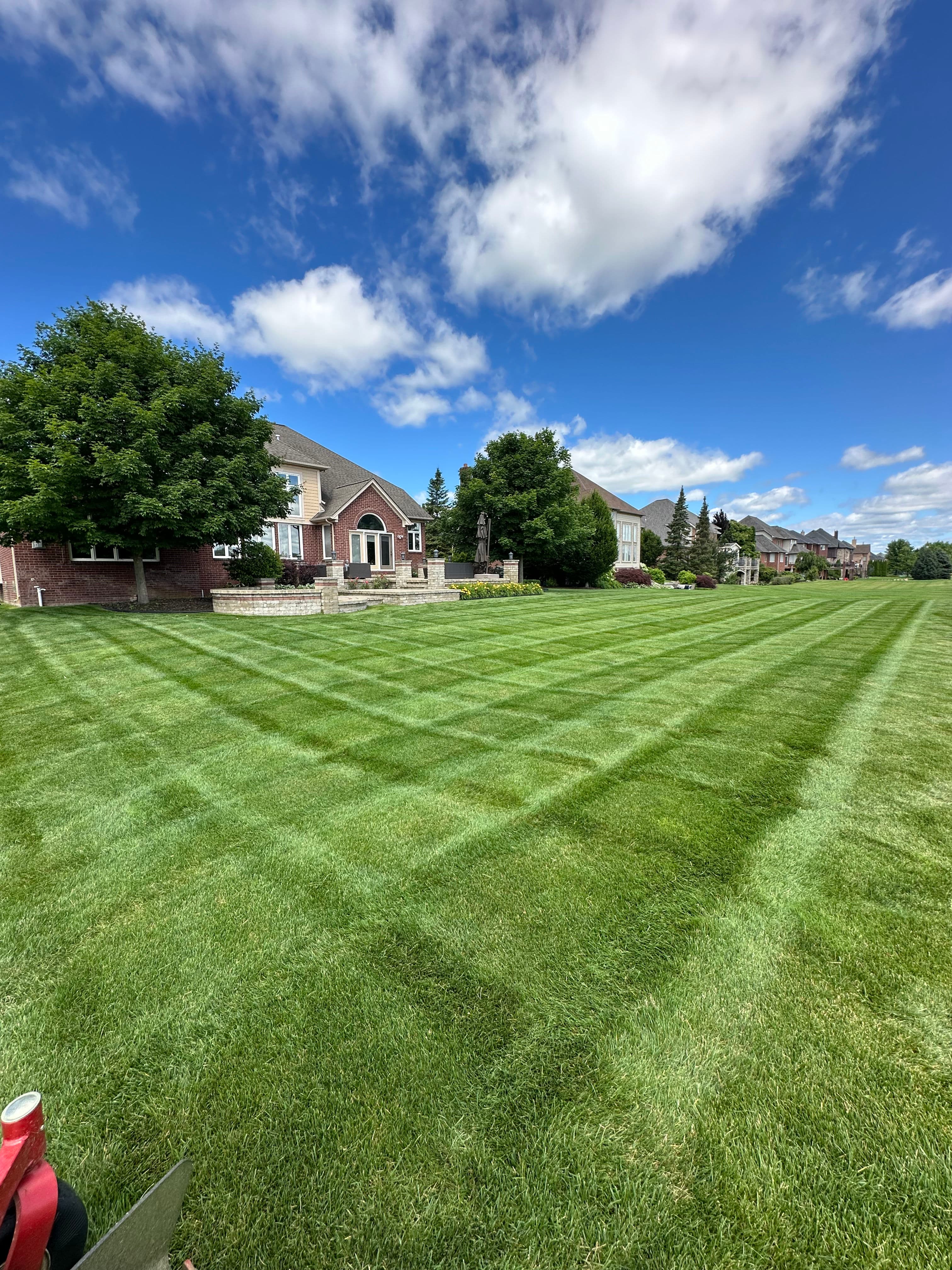 Project Get Ahead of the Spring Lawn Surge image