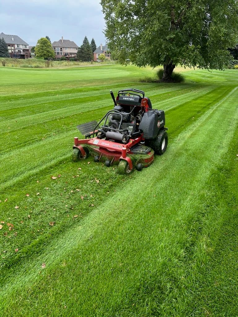 Precision Lawn Striping with Vertex Mower image