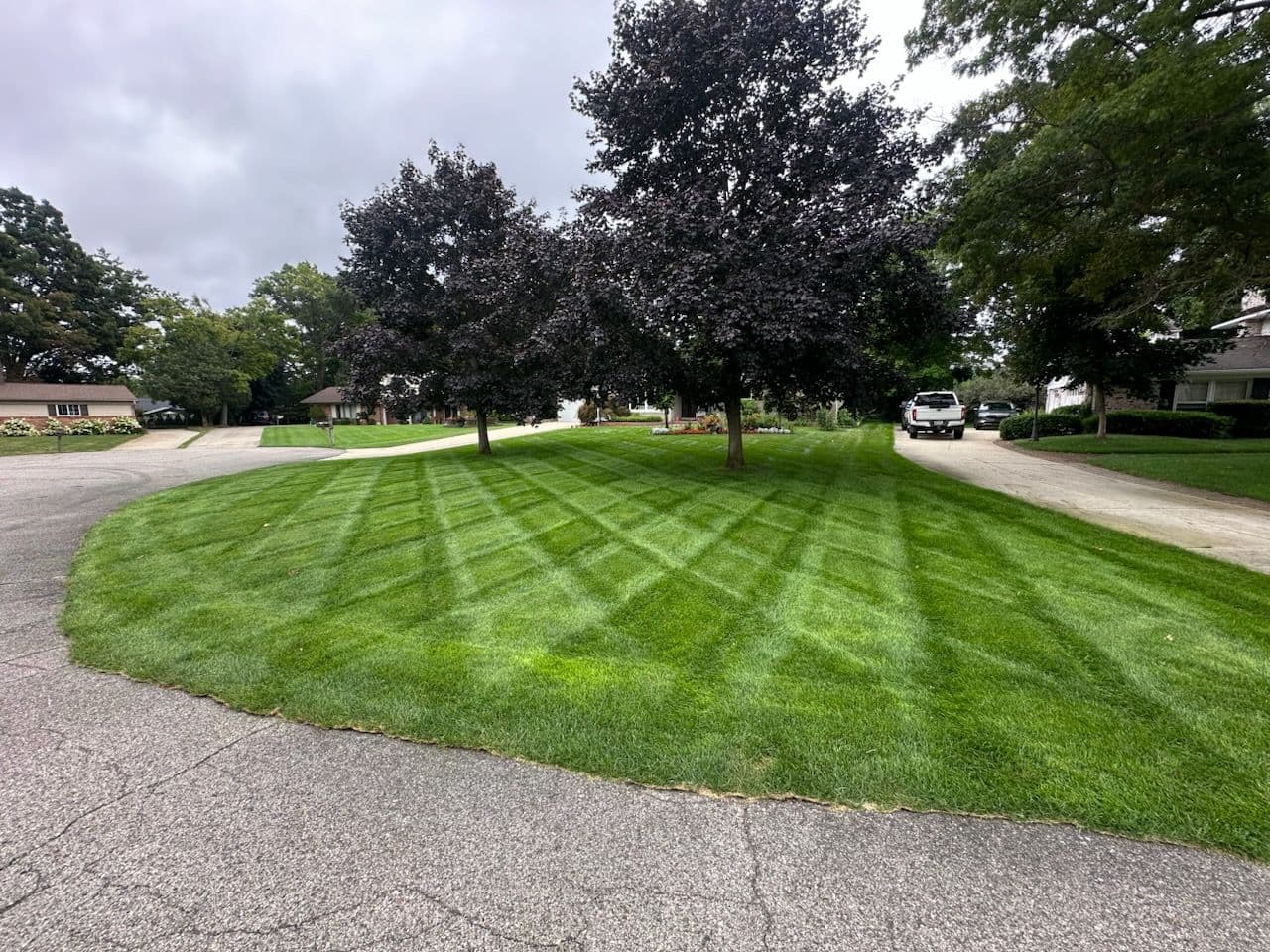 Project Crisscross Stripes Elevate Your Lawn's Appeal image