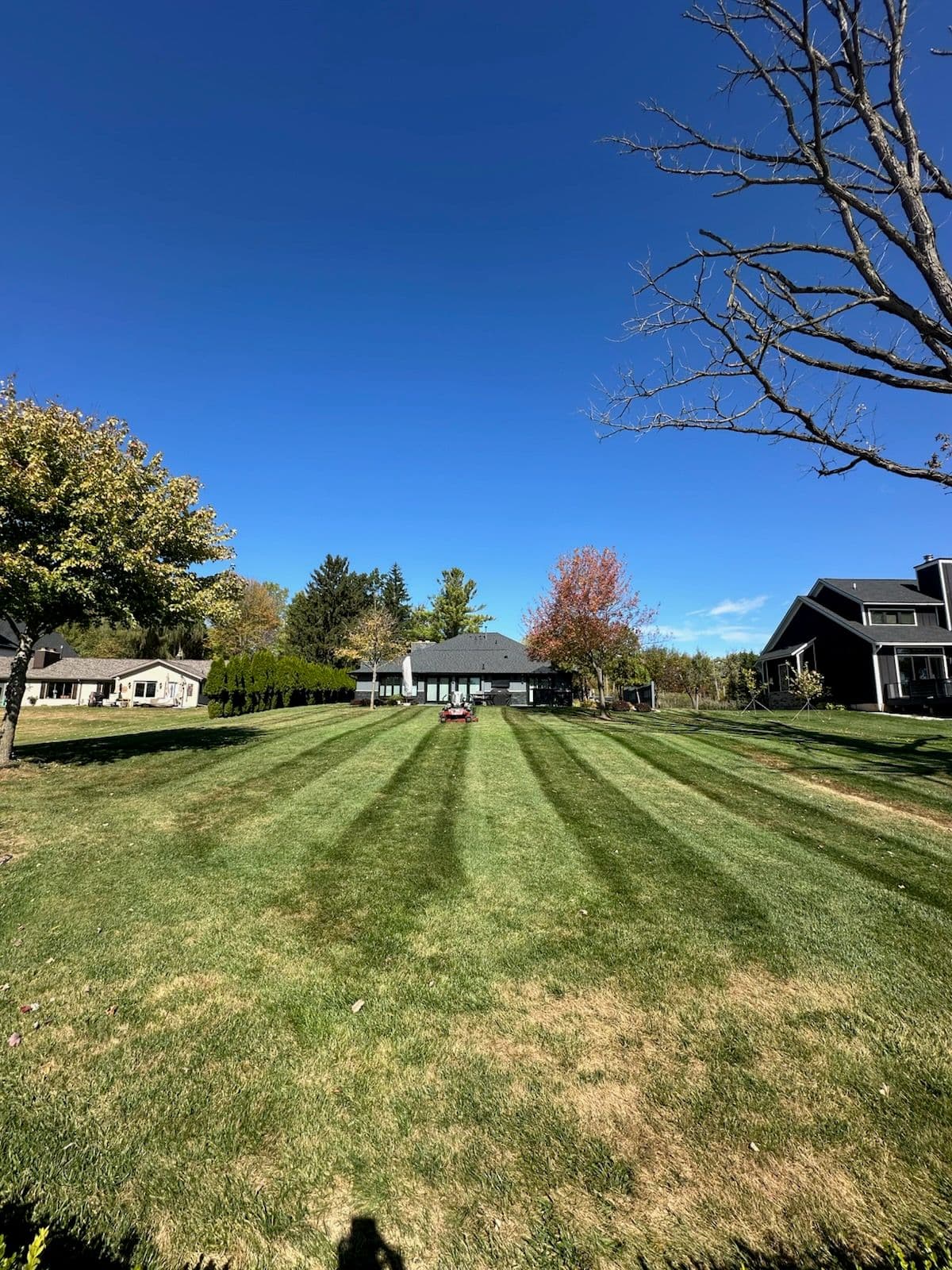 Autumn Lawn Perfection
