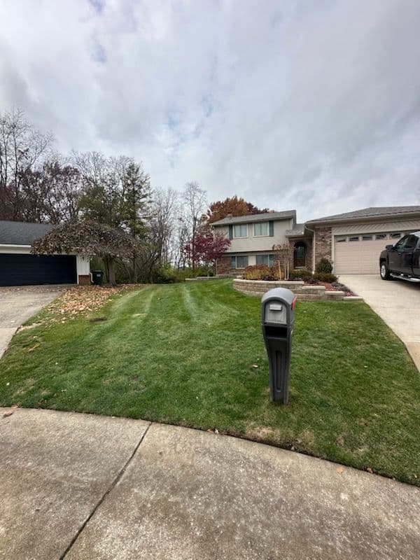 Project Experience the Power of Fall Cleanup with CMT Lawn and Landscape LLC image