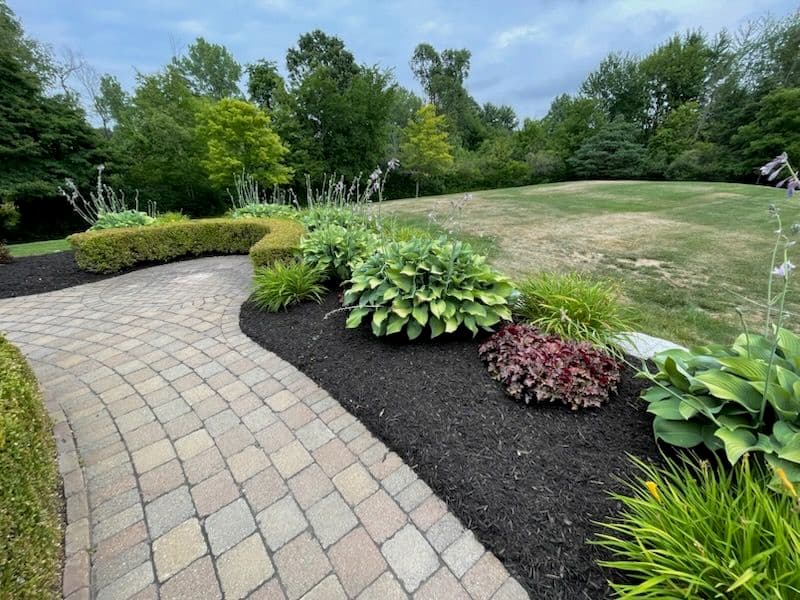 Project Enhancing Curb Appeal with Mulching and Landscaping image