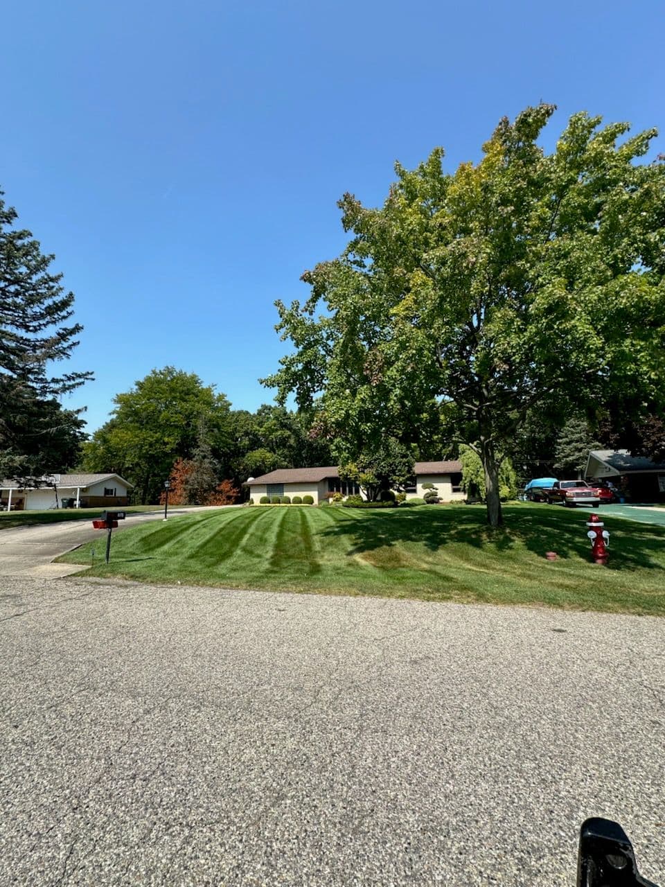 Transform Your Yard with Expert Lawn Care image