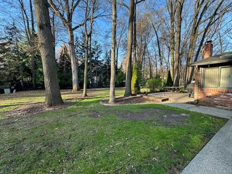 Backyard Transformation with Expert Mulching image