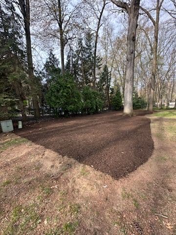 Gallery photos for Backyard Transformation with Expert Mulching: Image #2