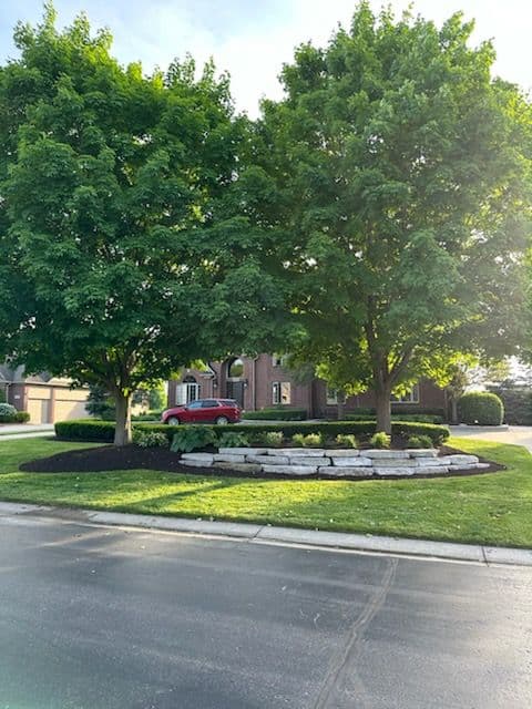 Gallery photos for Revitalize Your Landscape with Fresh Mulch: Image #2