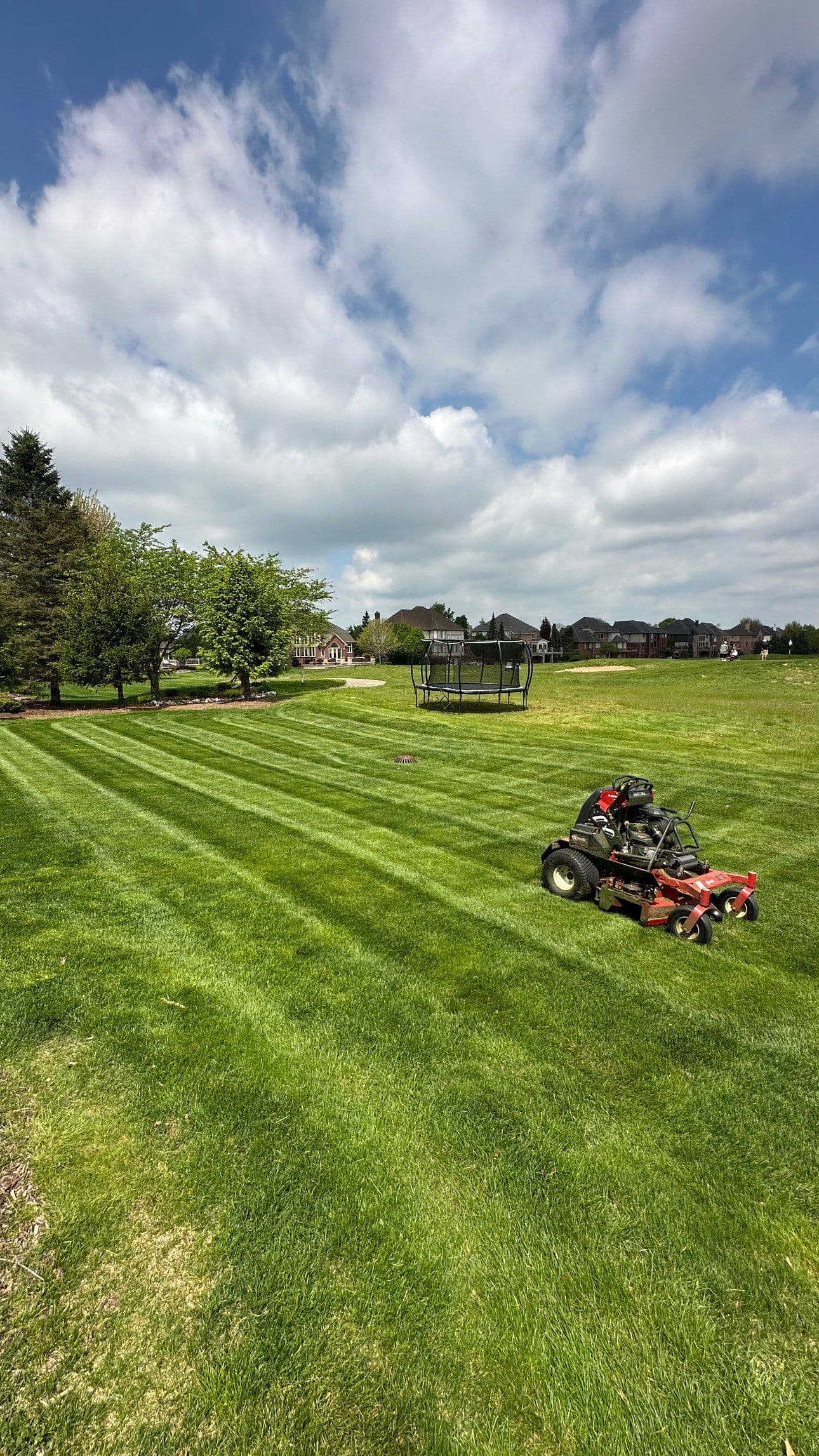 Transform Your Lawn - Experience Effortless Beauty image