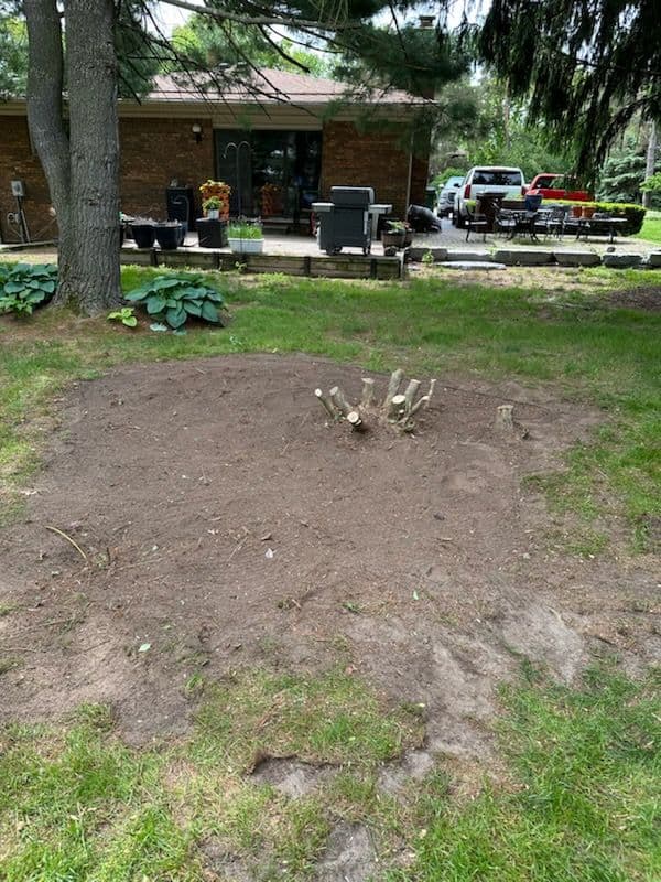 Gallery photos for Backyard Refresh with Expert Hedge Trimming: Image #1