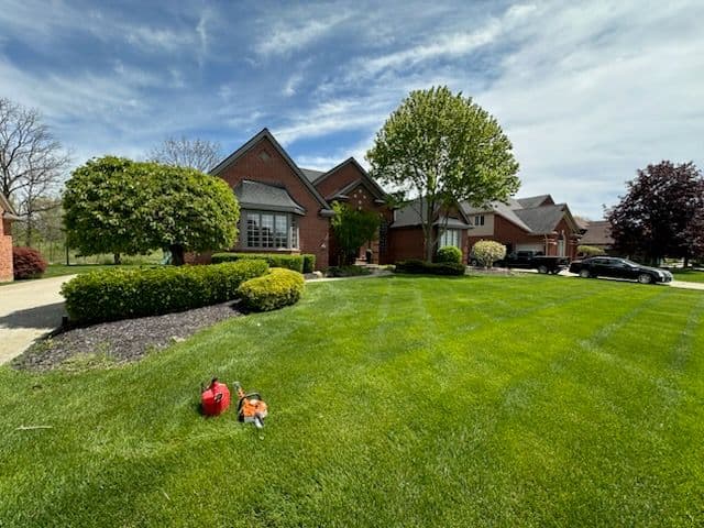 Expert Lawn and Hedge Transformation Service image