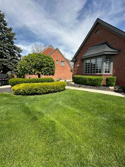 Gallery photos for Expert Lawn and Hedge Transformation Service: Image #1