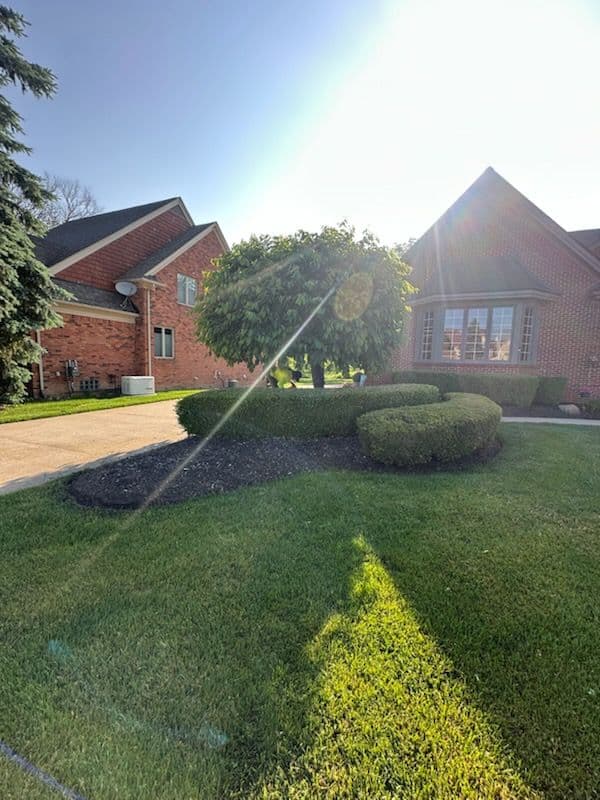 Revitalize Your Lawn with Expert Care image