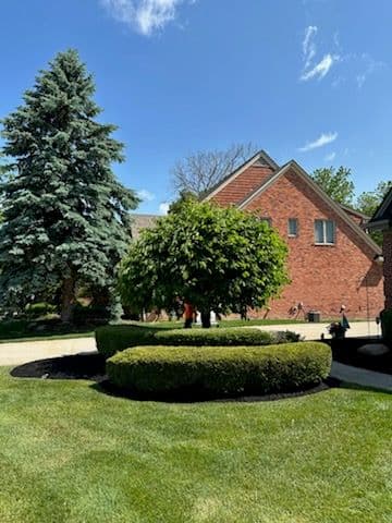 Gallery photos for Revitalize Your Lawn with Expert Care: Image #1