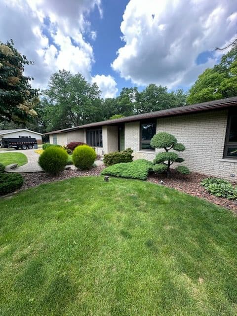Transform Your Yard with Expert Trimming image