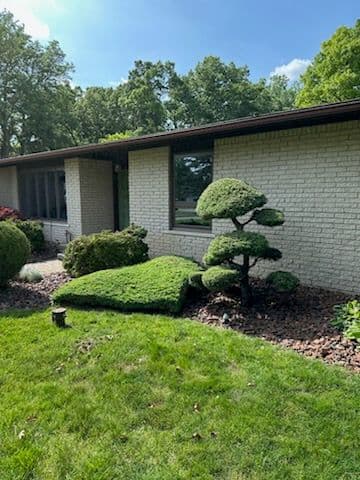 Gallery photos for Transform Your Yard with Expert Trimming: Image #1
