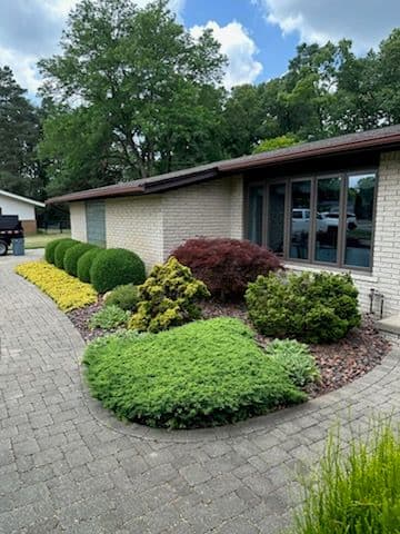 Gallery photos for Transform Your Yard with Expert Trimming: Image #2