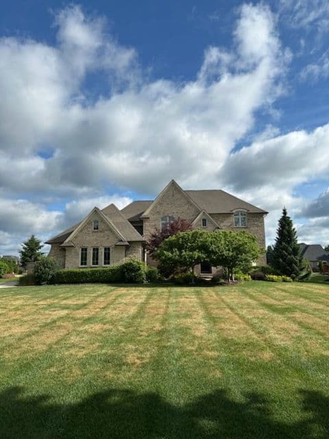 Expert Lawn and Hedge Transformation image