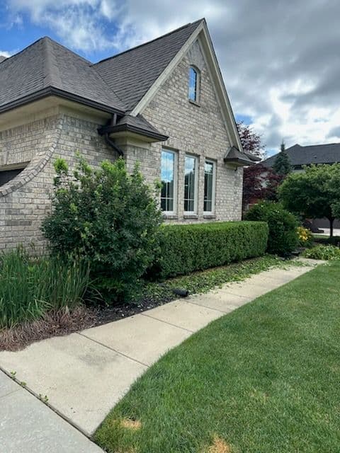 Gallery photos for Expert Lawn and Hedge Transformation: Image #1