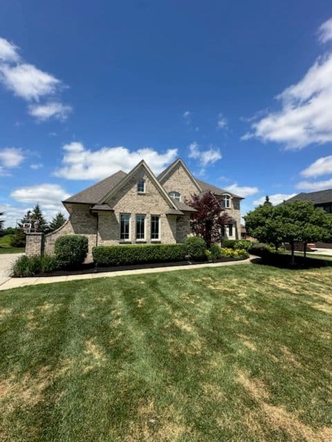 Gallery photos for Expert Lawn and Hedge Transformation: Image #3