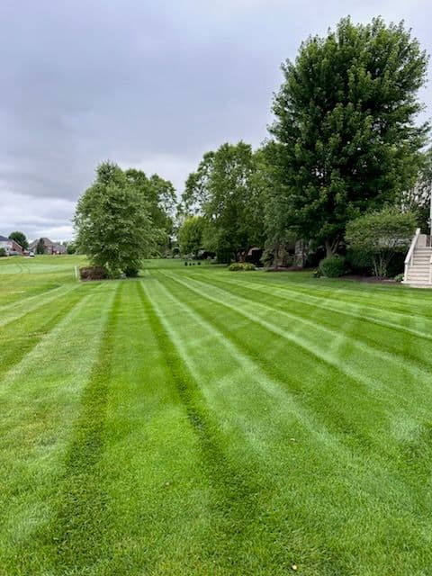 Gallery photos for Weekly Lawn Services for Lush Greenery: Image #1