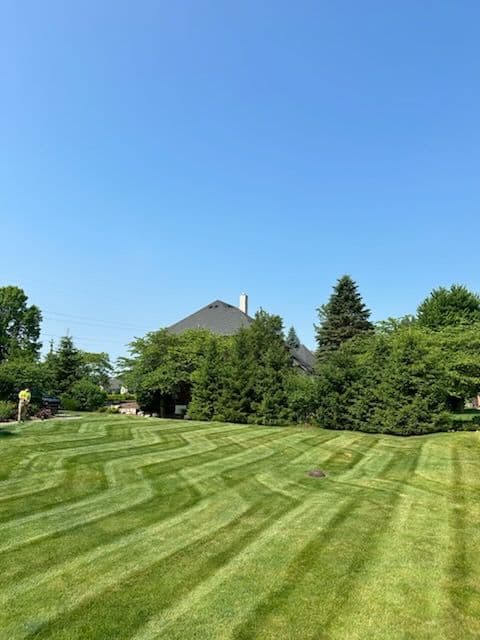 Gallery photos for Weekly Lawn Services for Lush Greenery: Image #3