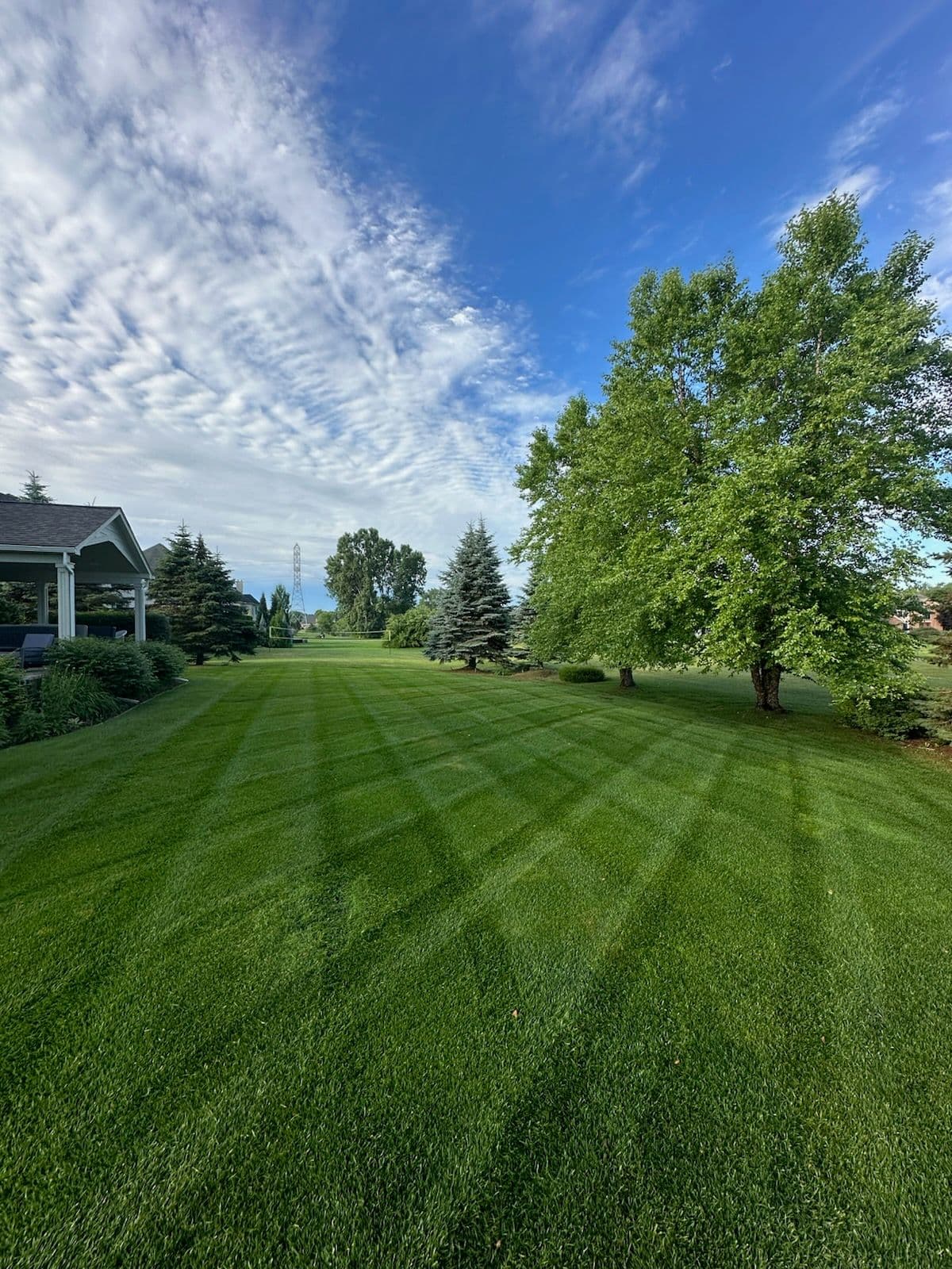 Achieving Lawn Perfection Under Blue Skies image