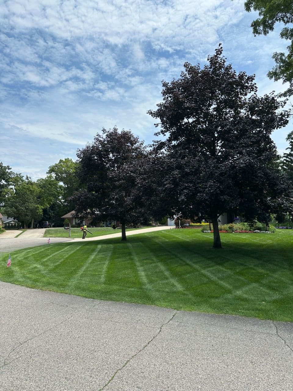 Transforming Yards with Professional Care image