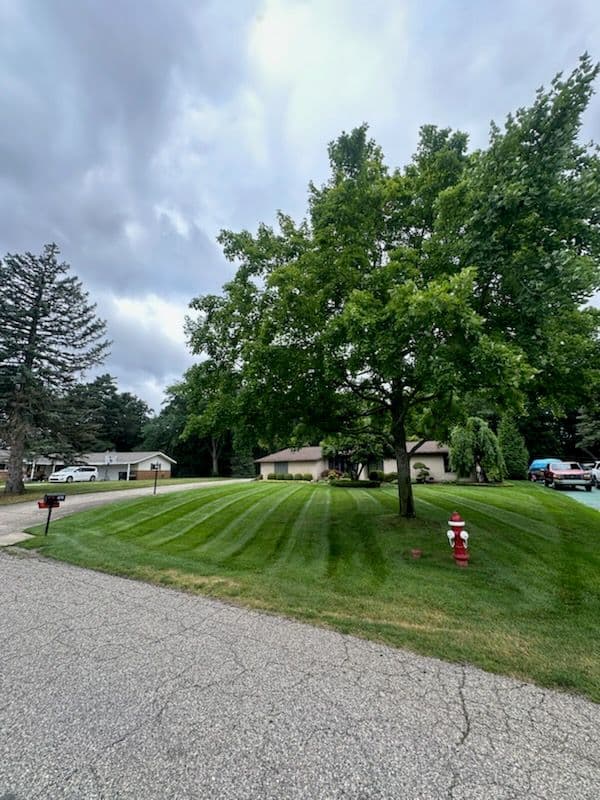 Transforming Lawns with Precision and Care