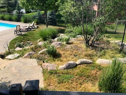 Breathtaking Landscape Bed Cleanup image