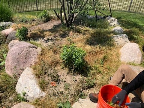 Gallery photos for Breathtaking Landscape Bed Cleanup: Image #1
