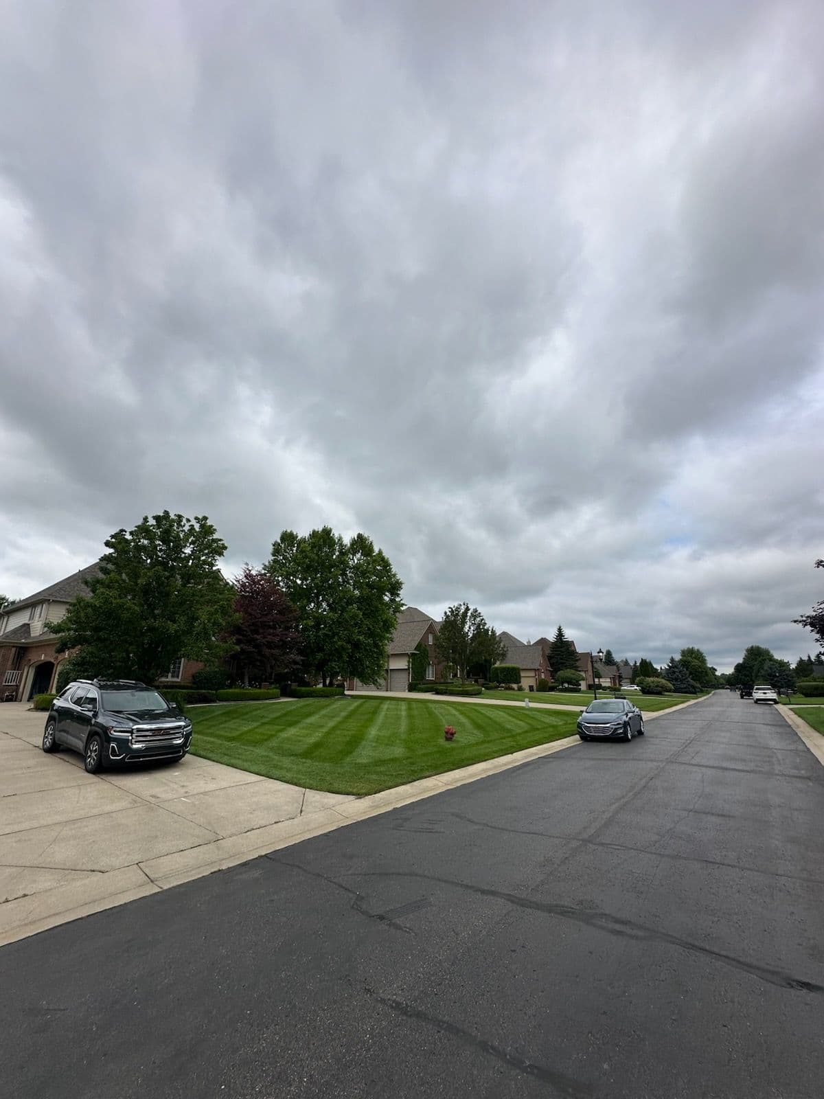 Transform Your Lawn With Professional Care image