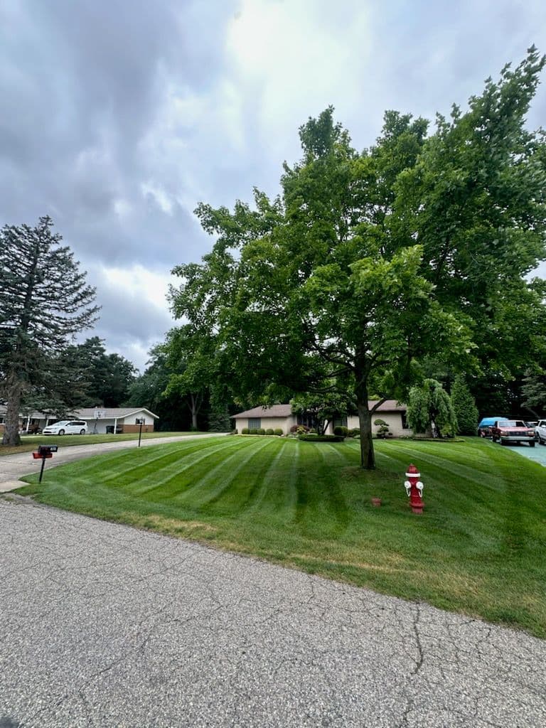 Gallery photos for Transform Your Lawn With Professional Care: Image #1