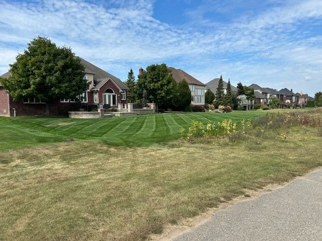 Revitalize Your Lawn with Expert Lawn Care image