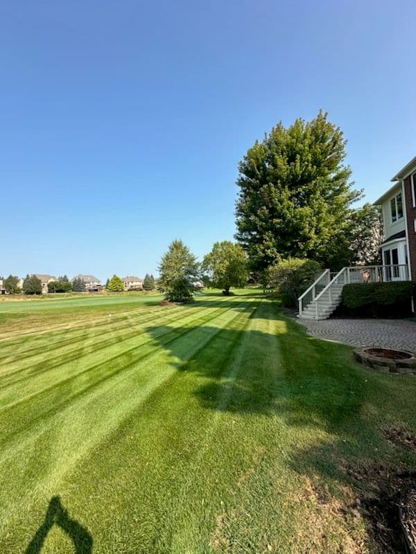 Gallery photos for Revitalize Your Lawn with Expert Lawn Care: Image #3