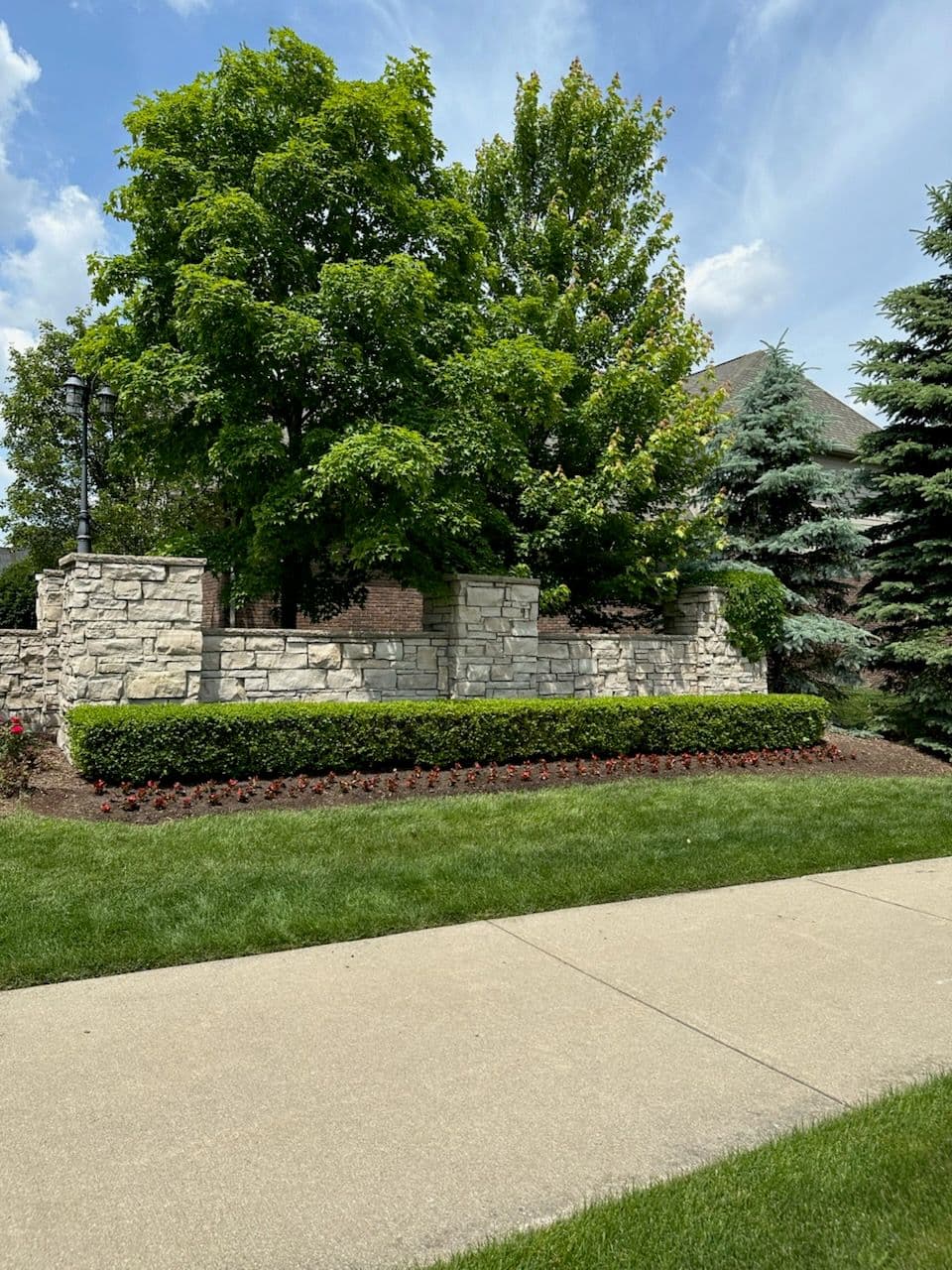 Transforming Spaces with Beautiful Landscapes image
