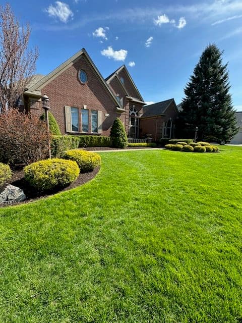 Gallery photos for Expert Hedge Trimming and Mulch Installation Service: Image #1