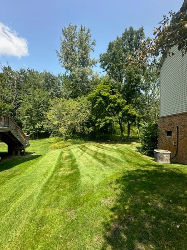 Gallery photos for Transform Your Lawn Into a Green Masterpiece: Image #1
