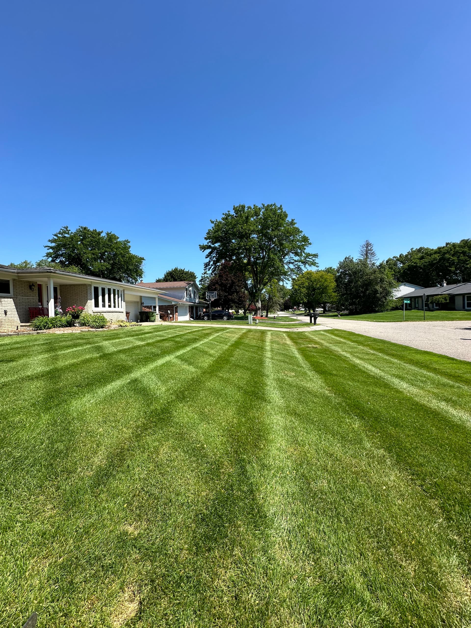 Gallery photos for Get Ahead of the Spring Lawn Surge: Image #2