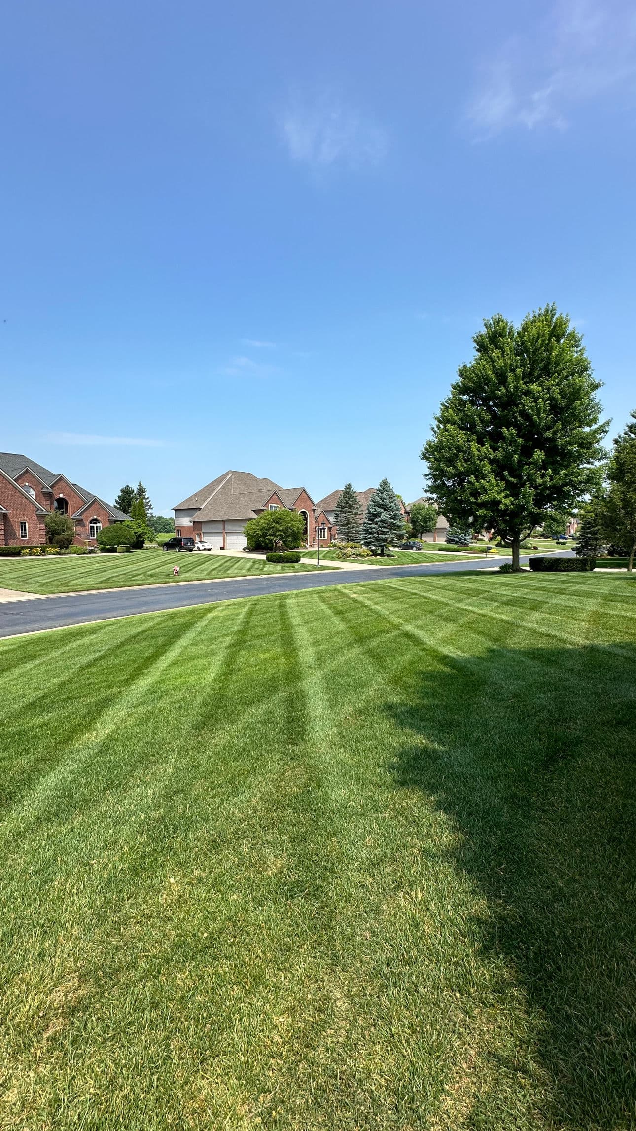 Gallery photos for Get Ahead of the Spring Lawn Surge: Image #1