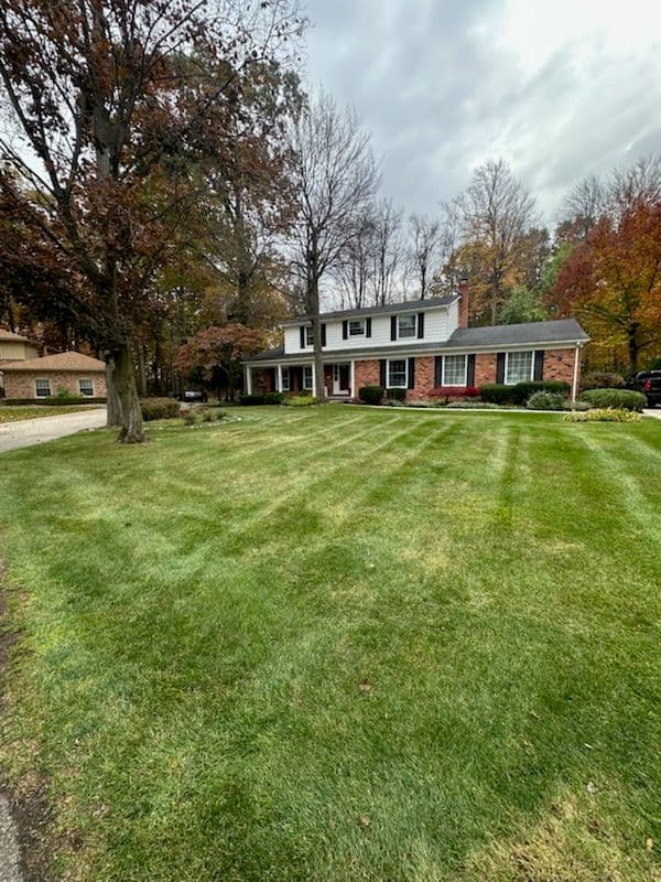 Leaf Cleanup Magic by CMT Lawn and Landscape image