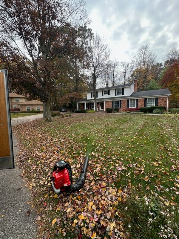 Gallery photos for Leaf Cleanup Magic by CMT Lawn and Landscape: Image #1