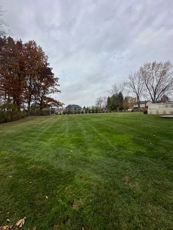 Gallery photos for Experience the Power of Fall Cleanup with CMT Lawn and Landscape LLC: Image #1