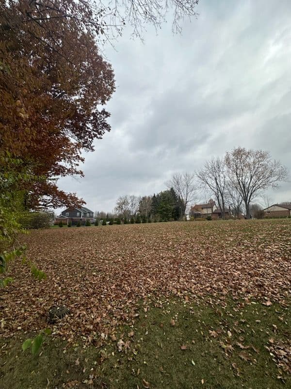Gallery photos for Experience the Power of Fall Cleanup with CMT Lawn and Landscape LLC: Image #2